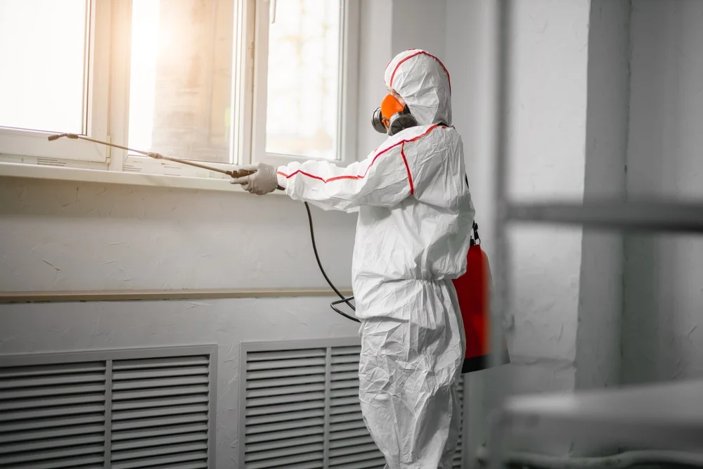 Professional mold remediation services in Flat Rock, AL